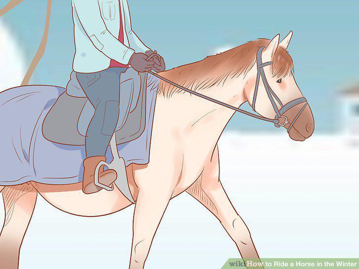 Step 11