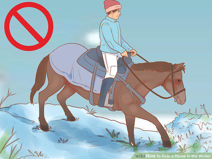 Step 12