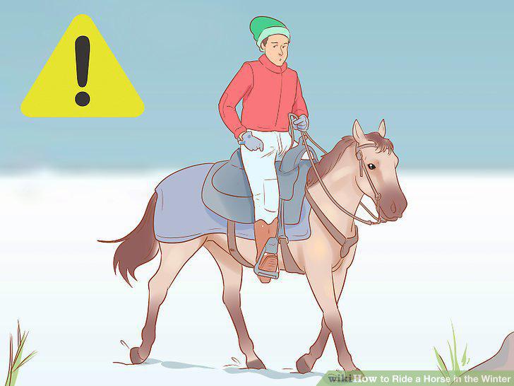 Step 13