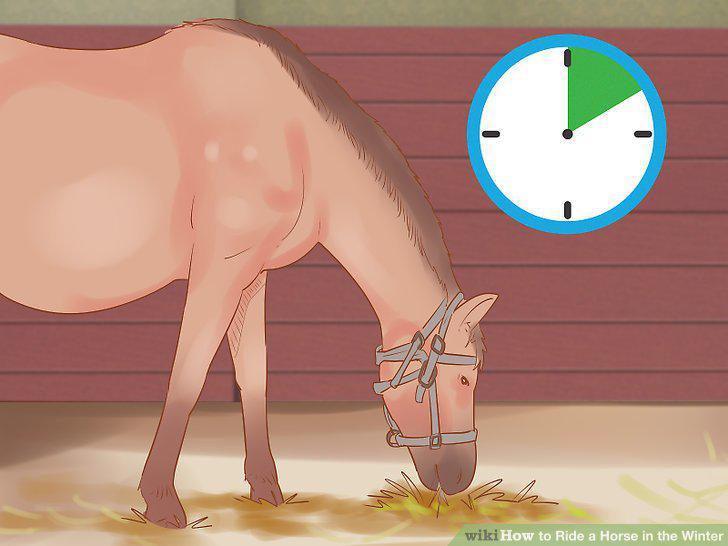 Step 15