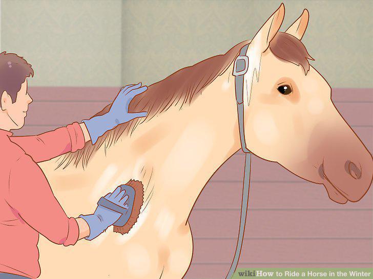 Step 17