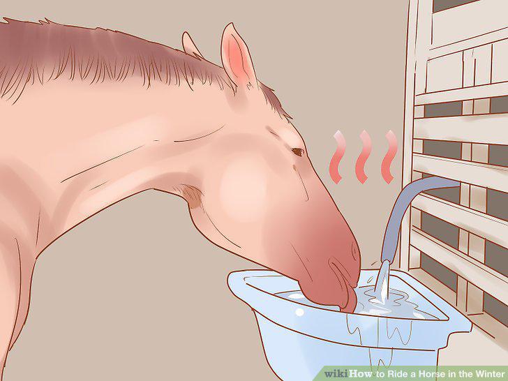 Step 18