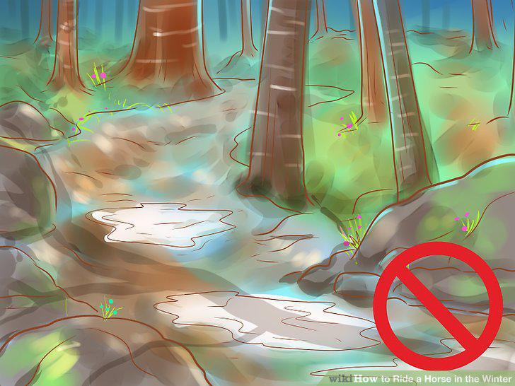 Step 5