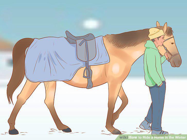 Step 10