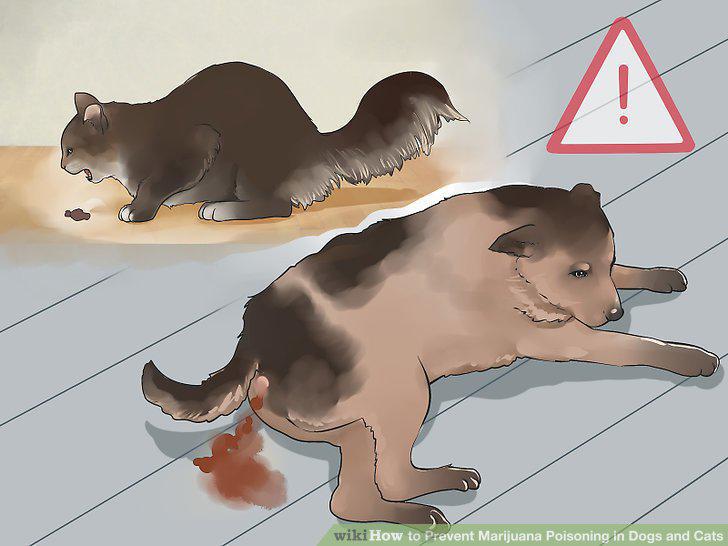 Step 7