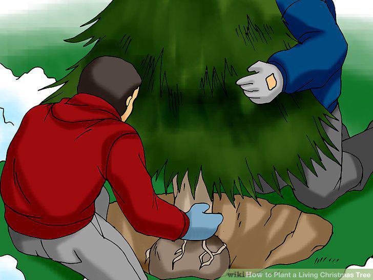 Step 11