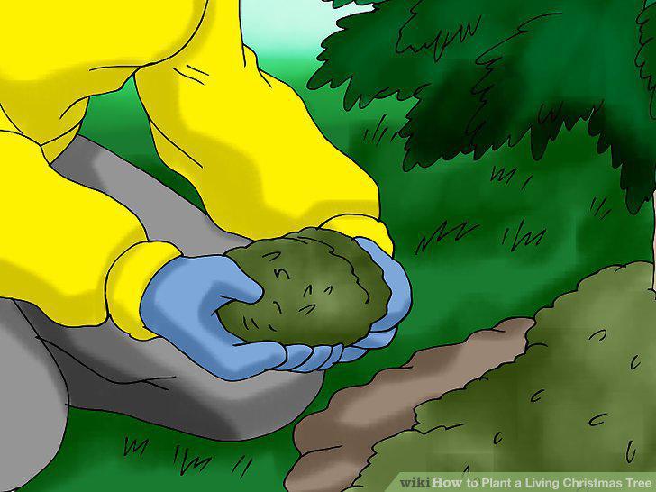 Step 14