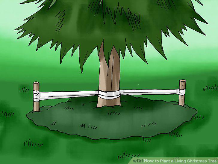 Step 16