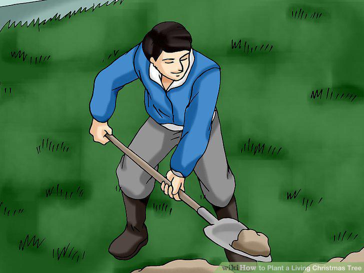 Step 7