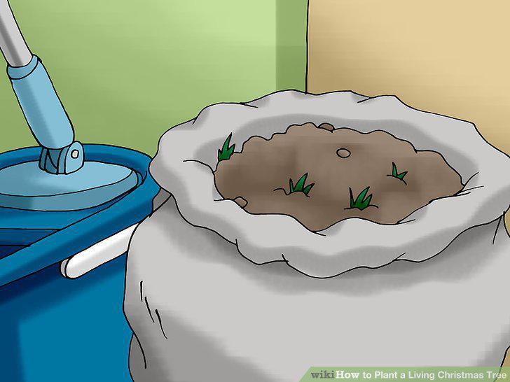 Step 9