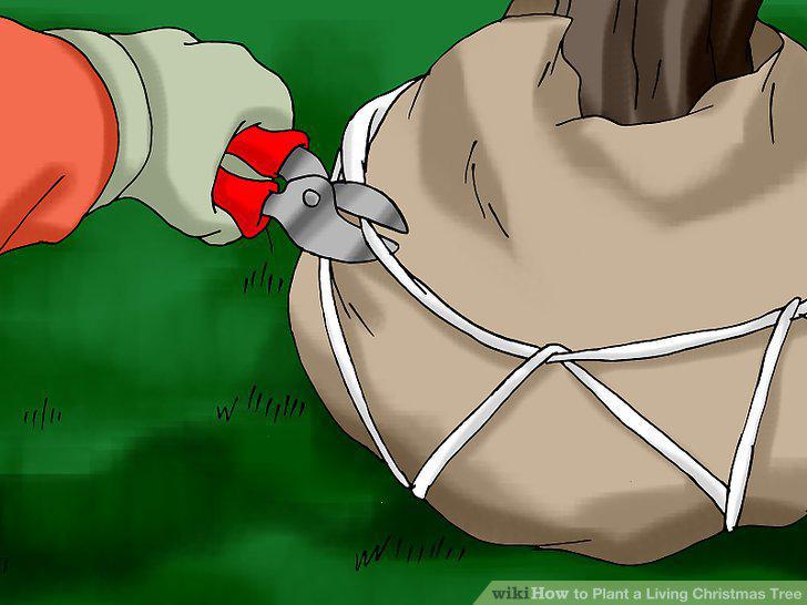 Step 10