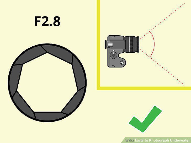 Step 11