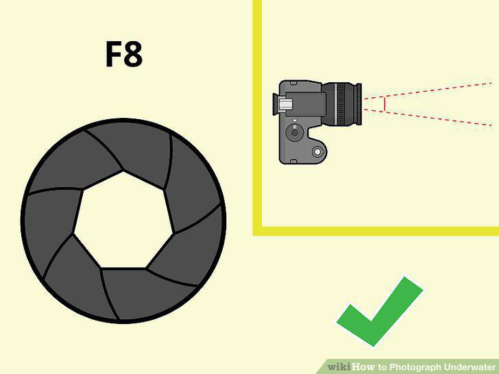 Step 10