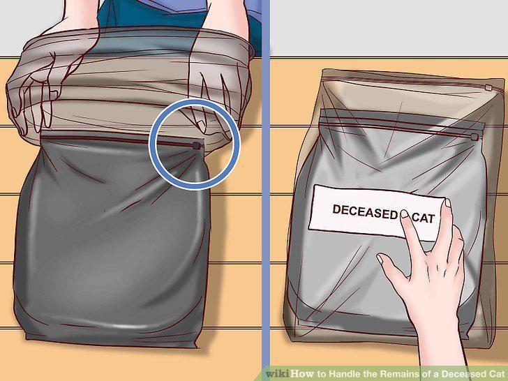 Step 13