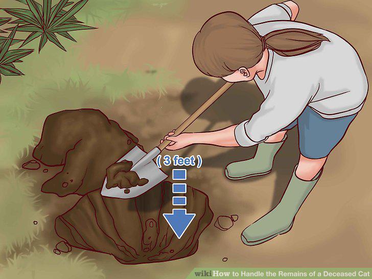 Step 8