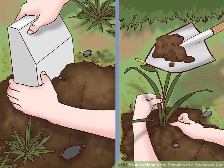 Step 9
